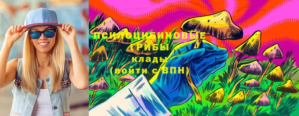 дживик Протвино