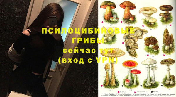 дживик Протвино