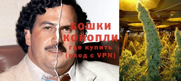дживик Протвино