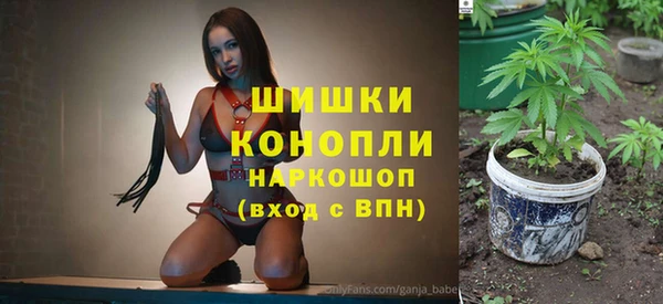 дживик Протвино