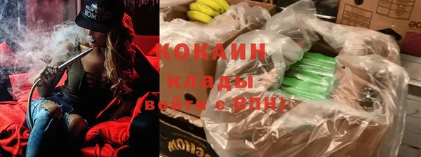 дживик Протвино