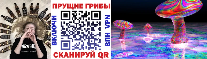 Купить закладки  Каргополь  Галлюциногенные грибы мухоморы 