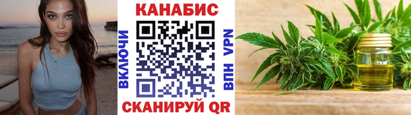 Купить закладки  Каргополь  Шишки марихуана конопля 